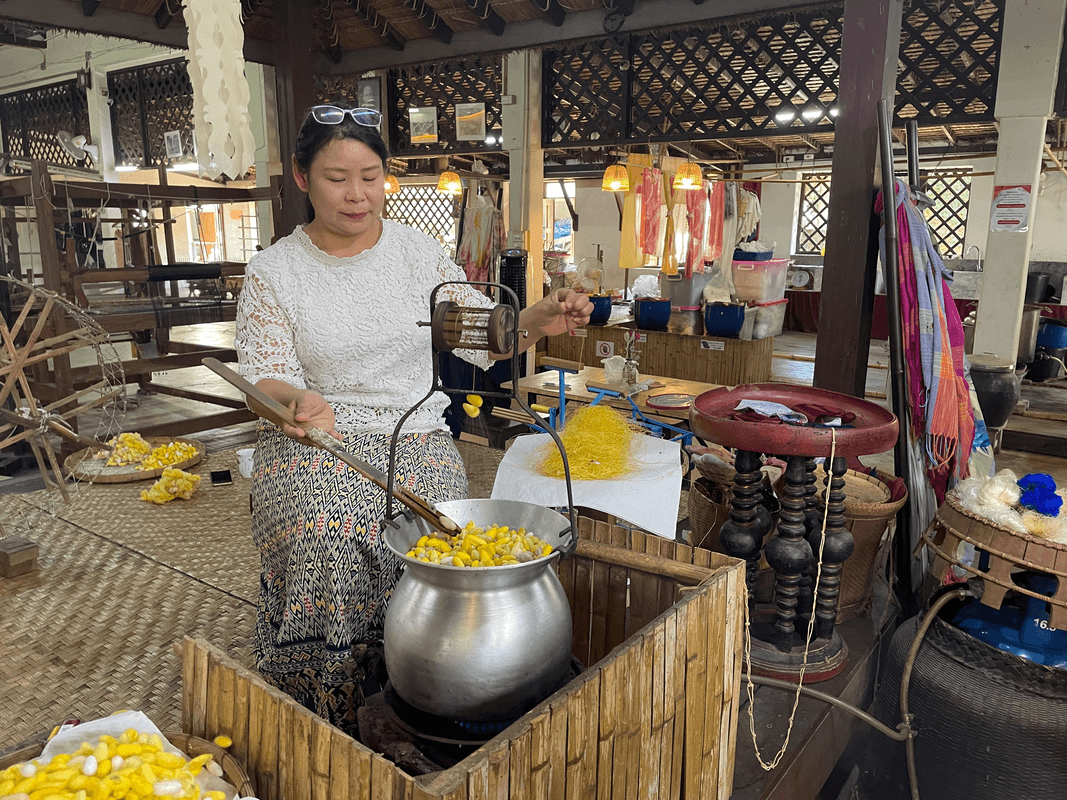 Extraction de la soie