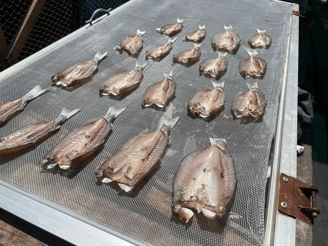 Poissons séchés
