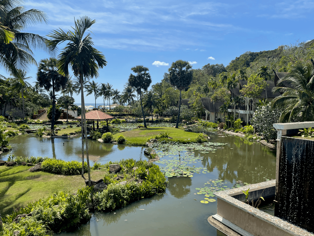Hotel végération luxuriante
