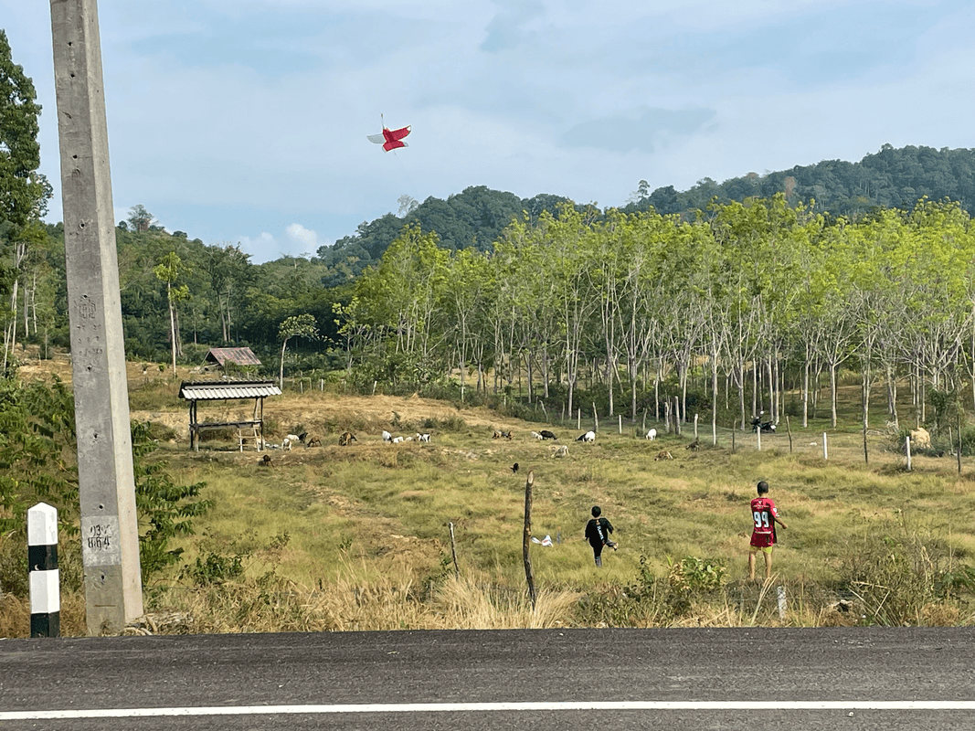 Enfants et cerf volant